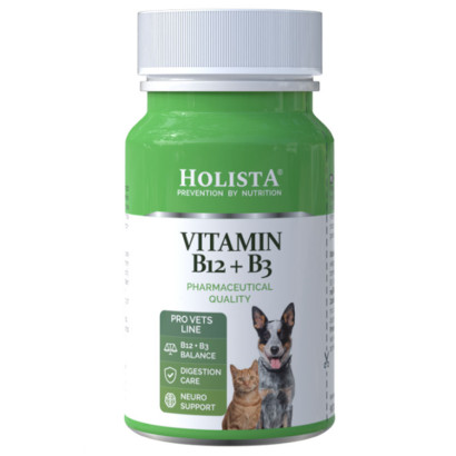 Holista Vitamin B12 + B3 90tab