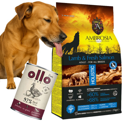 Ambrosia Jagniecina Zestaw z Mokra karma puszka ollo 400g