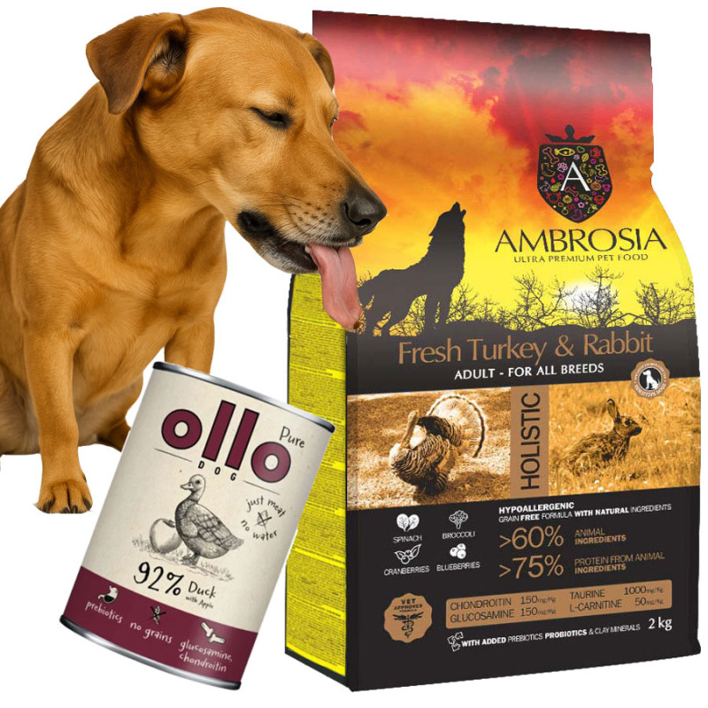 Ambrosia Świeży Indyk i Królik 12kg + Ollo Puszka 400g