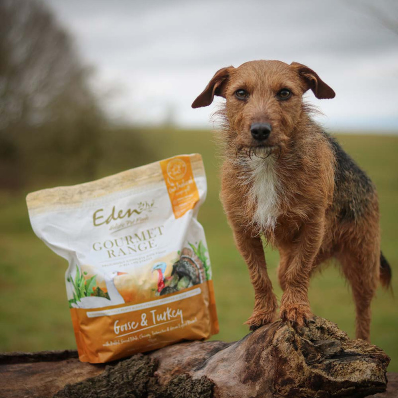 Eden Gourmet Range Goose &...
