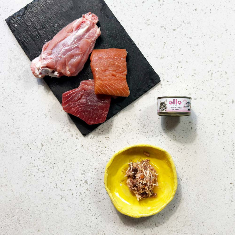 OLLO CAT Nr2 Tuńczyk i...