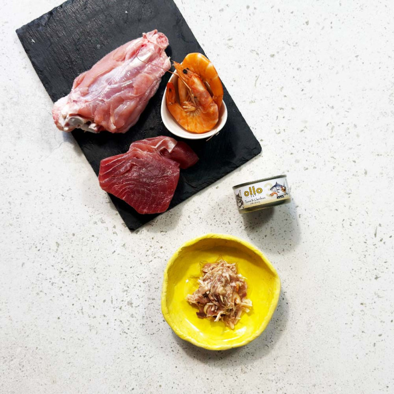 OLLO CAT Nr3 Tuńczyk i...