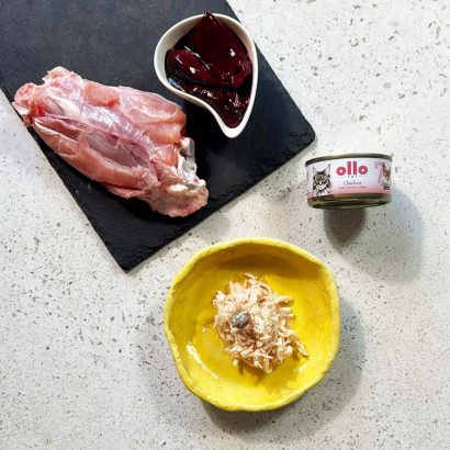 OLLO CAT Nr7 Kurczaka z...