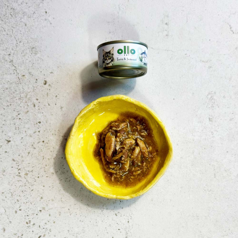 OLLO CAT Nr8 Tuńczyk i...