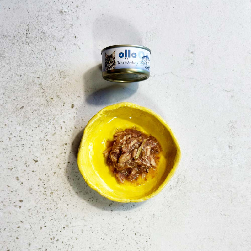 OLLO CAT Nr9 Tuńczyk i...