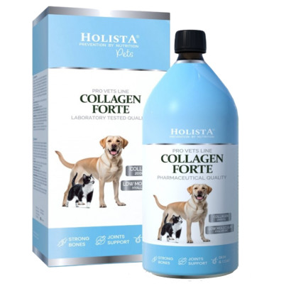 Holista Collagen Forte 1000ml