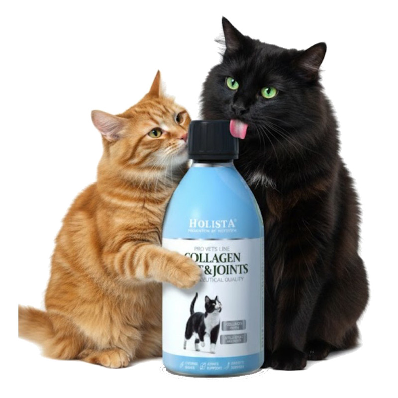 Holista Collagen Cats Coat...