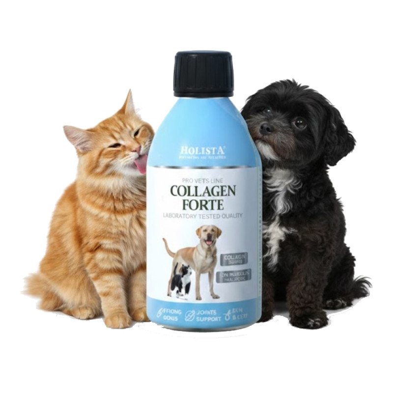 Holista Collagen Forte 100ml