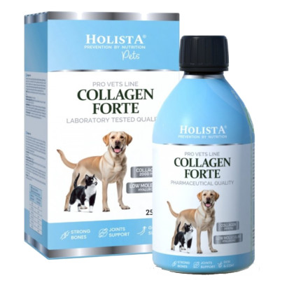 Holista Collagen Forte 100ml