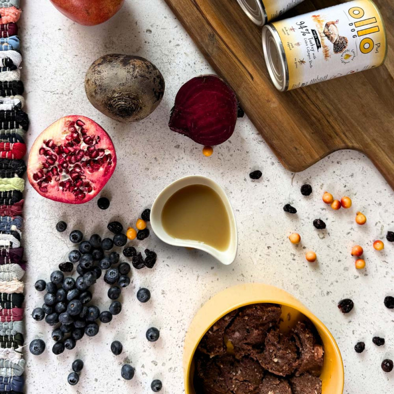 Ollo Plus Kolagen Indyk 400g