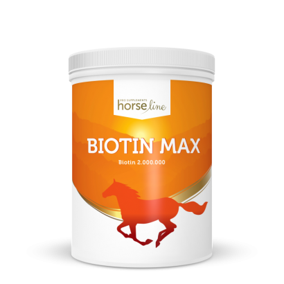HorseLinePro Biotin Max 1000g