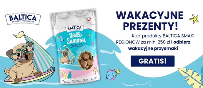 Smaki Regionow Summer