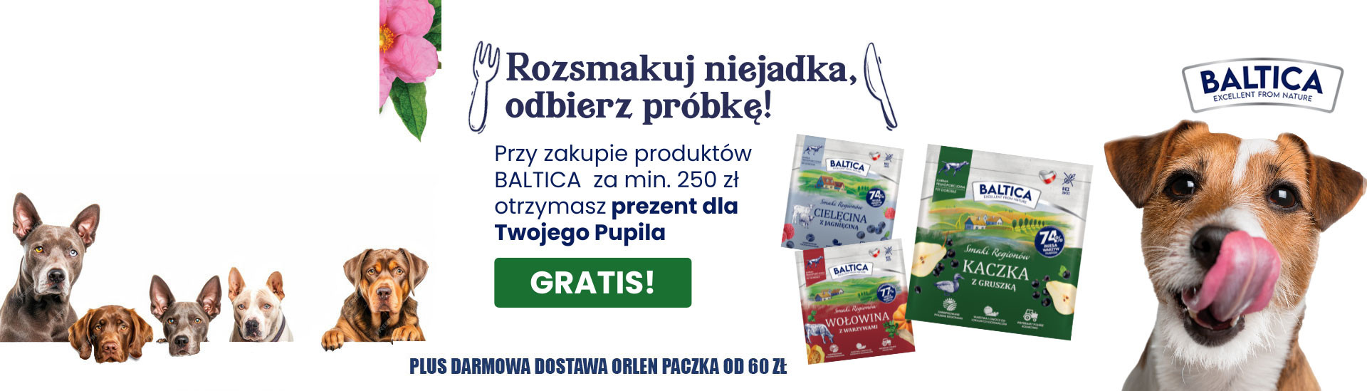 Petegro.pl Lider w sprzedaży karm