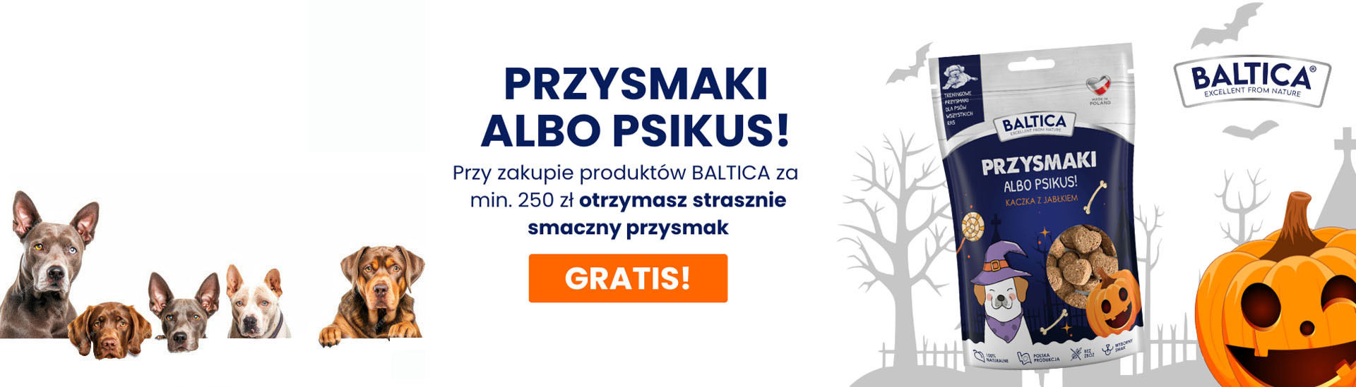 Petegro.pl Lider w sprzedaży karm