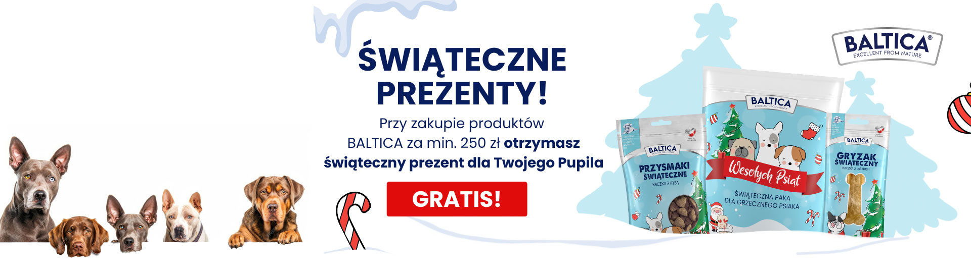 Petegro.pl Lider w sprzedaży karm