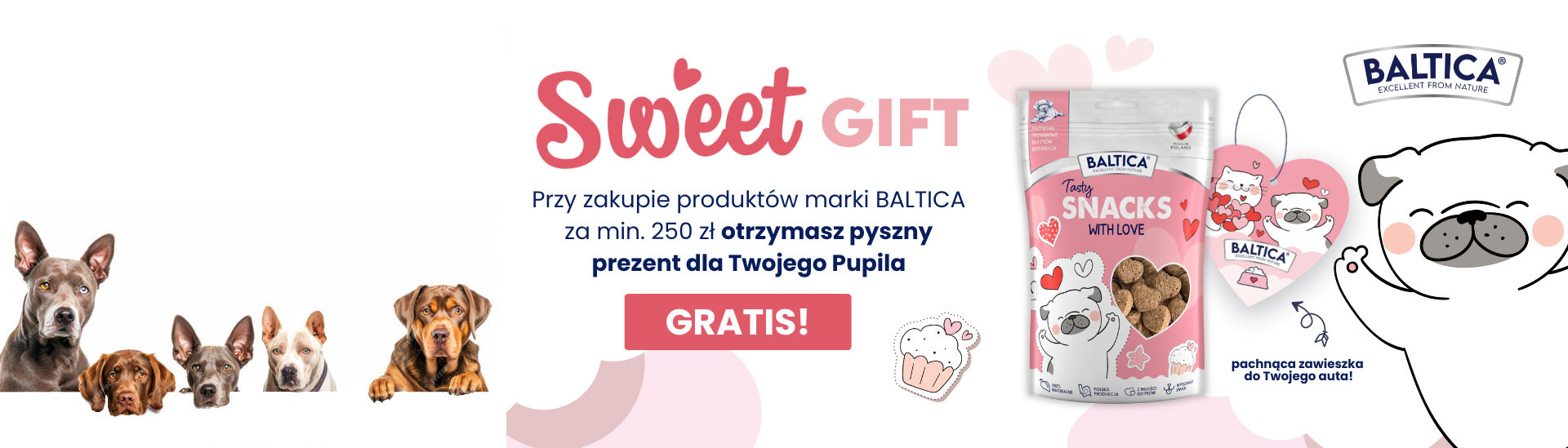 Petegro.pl Lider w sprzedaży karm